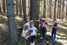 IMG_20230920_103227