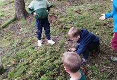 IMG_20220913_103802
