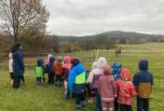 de75ff6b-dcc2-4f9d-92c2-b5770b970bef