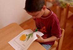 IMG_20220323_082048