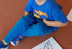 IMG_20250929_101421