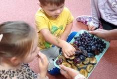 IMG_20251001_093731
