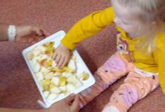IMG_20251001_094139