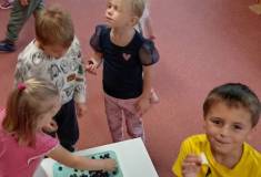 IMG_20251001_101414
