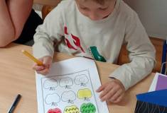 IMG_20251002_095342