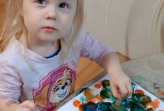 IMG_20260127_084215