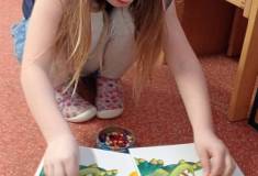 IMG_20260129_082809