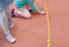 IMG_20260129_091248