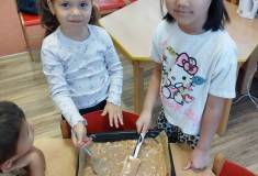 IMG_20250930_084727