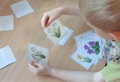 IMG_20260511_075323