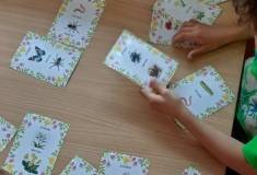 IMG_20260511_080226