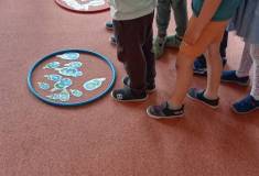 IMG_20260511_093751