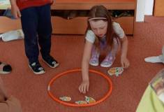 IMG_20260511_094023