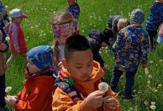IMG_20260511_105702