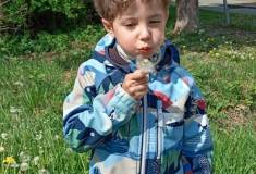 IMG_20260511_110026