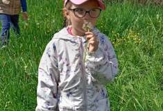 IMG_20260511_110124