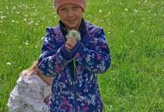 IMG_20260511_110347