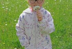 IMG_20260511_110356