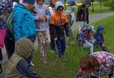 IMG_20260512_111436