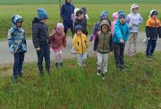 IMG_20260512_111449