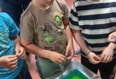 IMG_20260514_093121
