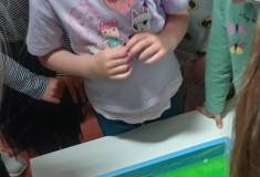 IMG_20260514_093429