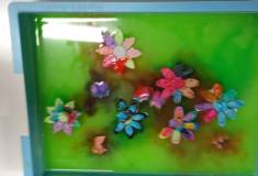 IMG_20260514_093919