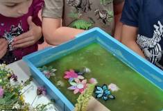 IMG_20260514_094711