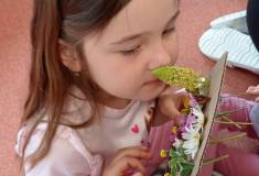 IMG_20260514_095049