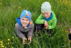 IMG_20250519_102721