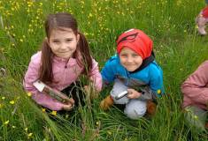 IMG_20250519_102730