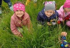 IMG_20250519_102739