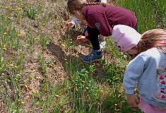 IMG_20250520_112147