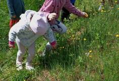 IMG_20250520_112202