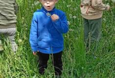 IMG_20250520_112242