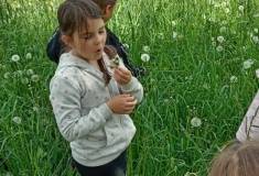 IMG_20250520_112305