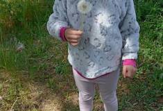 IMG_20250520_112309