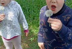 IMG_20250520_112313