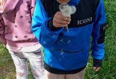 IMG_20250520_112333