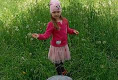 IMG_20250520_112340