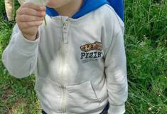 IMG_20250520_112356