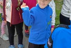 IMG_20250520_112742
