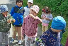 IMG_20250520_112750