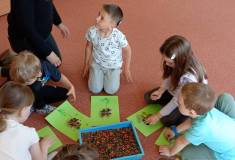 IMG_20250521_094114