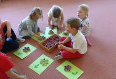 IMG_20250521_094310