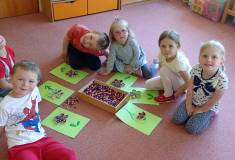 IMG_20250521_094550