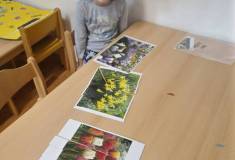 IMG_20230502_080739