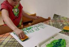IMG_20230503_073031