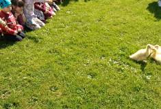 IMG_20230505_110744