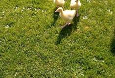 IMG_20230505_110750